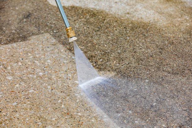 Best Driveway Pressure Washing  in Inglewood, CA